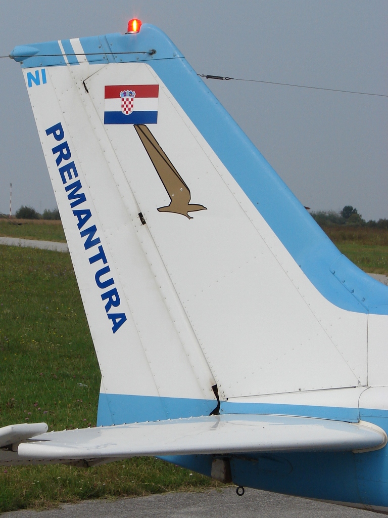 Cessna 172N, 9A-DNI, Geodetski zavod Osijek, Memorijal slavonskih zrakoplovaca 2008., Osijek-Čepin (LDOC)