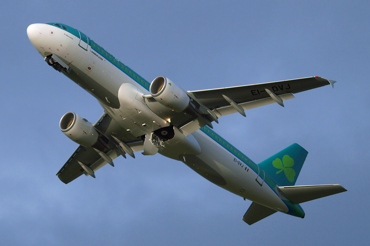 A320-214 Aer Lingus EI-DVJ Dublin_Collinstown April_6_2009