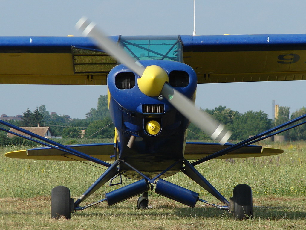 Piper 18 Cub, LDOC, 01.07.2008.