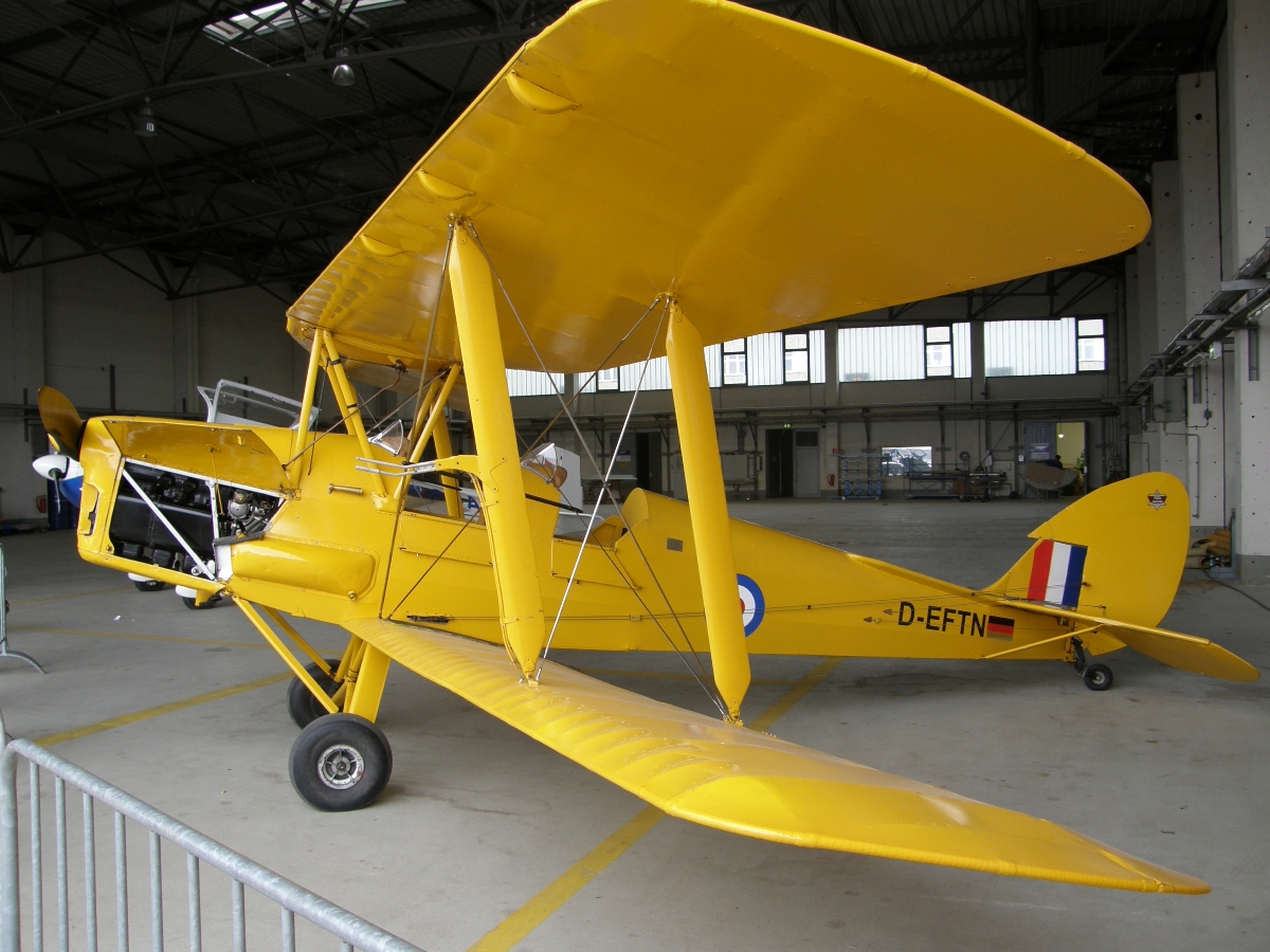 De Havilland DH-82A Tiger Moth II Untitled D-EFTN Berlin_Schonefeld June_12_2010