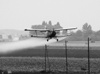 Antonov An-2 Air-Tractor 9A-DIZ Croatia-In Flight 2003