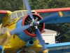 Antonov An-2, 9A-BZB, Sparrow, Osijek-Cepin (OSI/LDOC) 2006.