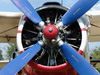 Antonov An-2R Air-Tractor 9A-DAM Osijek_Cepin (LDOC) July_28_2008