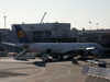 A340-313X Lufthansa D-AIGP Frankfurt_Main March_08_2010