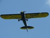 Piper 18 Cub, AK Osijek, LDOC, 25.06.2008.