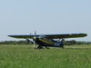 Piper 18 Cub, AK Osijek, LDOC, 25.06.2008.