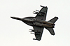 Boeing F/A-18F Super Hornet USA Navy 166660 / AD-220 Paris_Le_Bourget June_24_2007 B