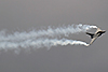 Dassault Rafale B France Air Force 302 Paris_Le_Bourget June_23_2007 B